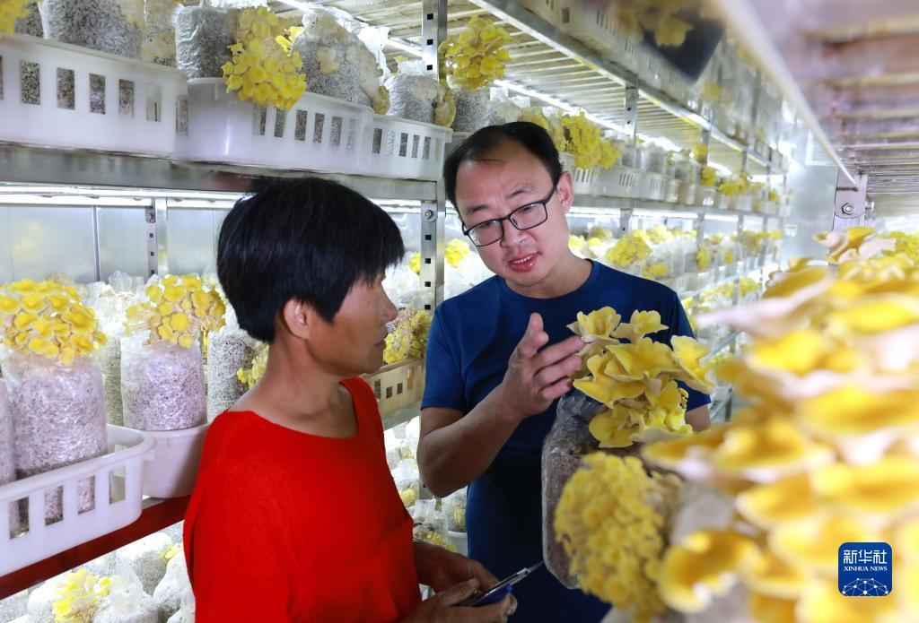 新濠天地赌场网